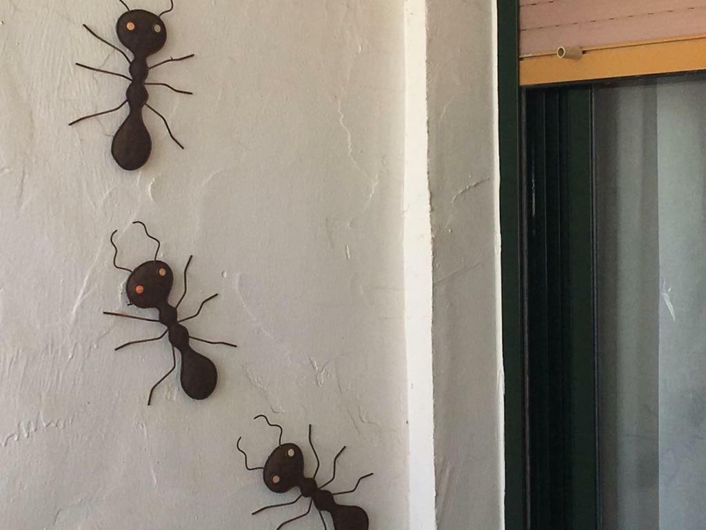 Bonito Apartamento En Zahara De Los Atunes Kültér fotó